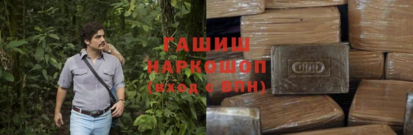 гашик Алексеевка