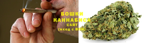ПСИЛОЦИБИНОВЫЕ ГРИБЫ Алексин