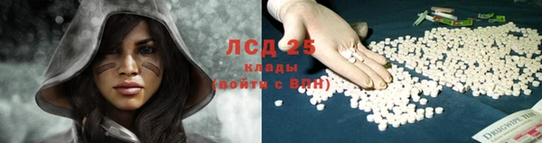 гашик Алексеевка