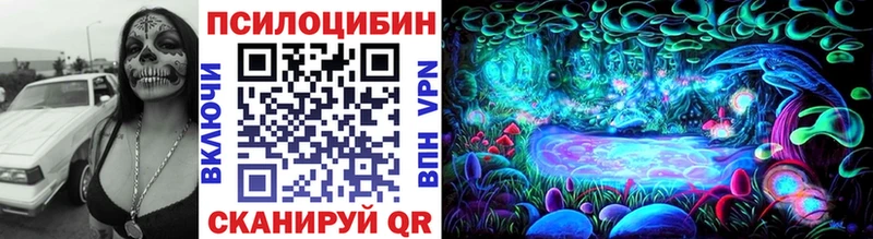 Купить закладки  Мытищи  Галлюциногенные грибы мицелий 